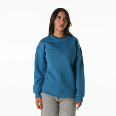 Carolina Panthers The Wild Collective Unisex Fleece Sweatshirt Blue | NFL