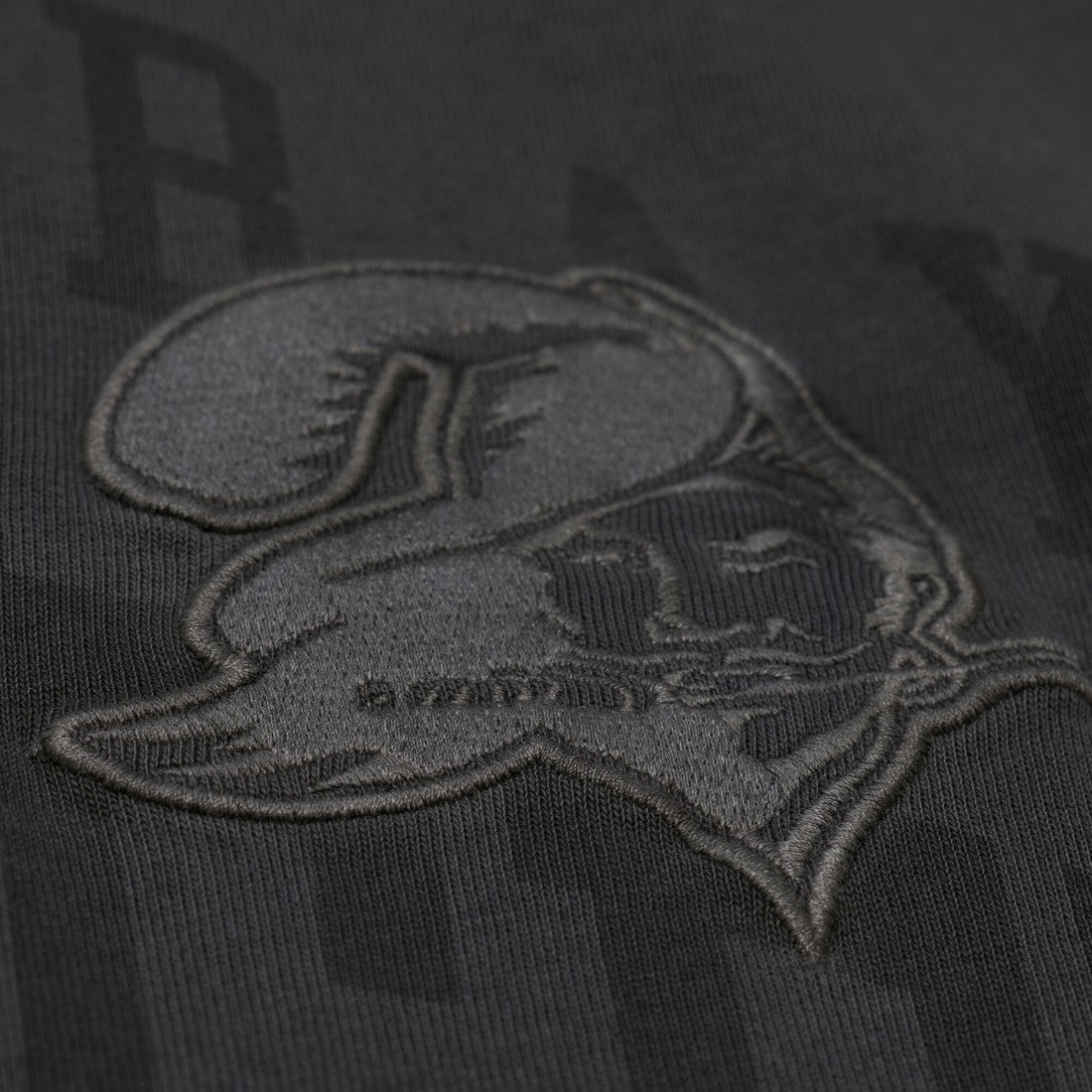Tampa Bay Buccaneers Downtown Collection Premium Vintage Logo T-Shirt Black | Mitchell & Ness