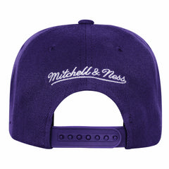 Los Angeles Lakers Youth 50th Anniversary Duo Front Snapback Hat Purple - NBA
