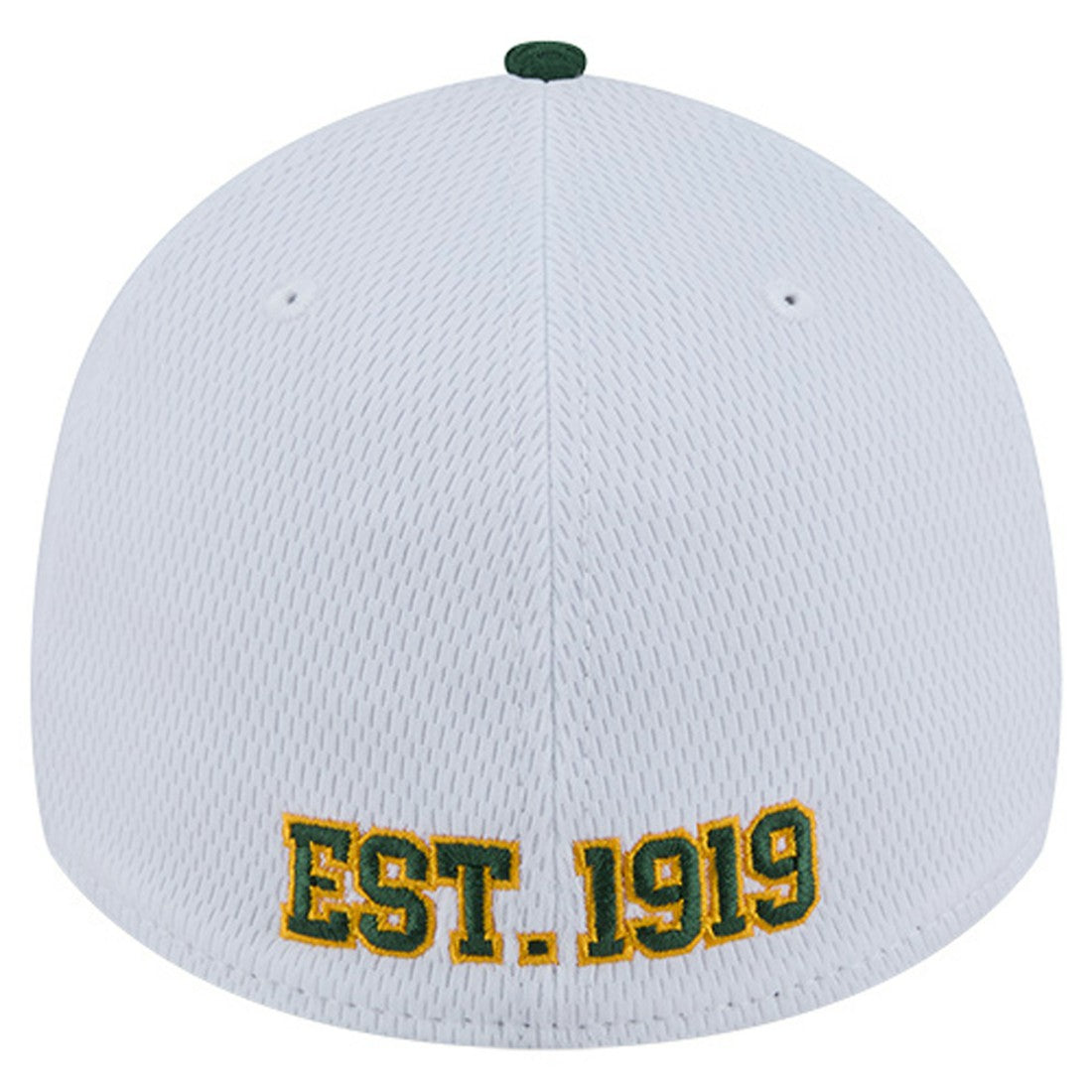 Green Bay Packers New Era Dashmark Rays 39THIRTY Flex Hat White/Green | NFL