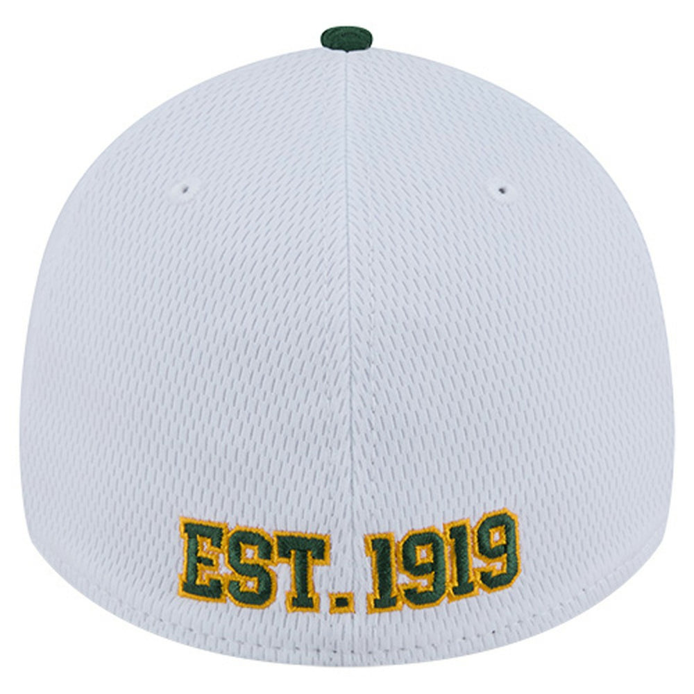 Green Bay Packers New Era Dashmark Rays 39THIRTY Flex Hat White/Green | NFL