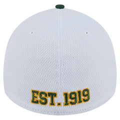 Green Bay Packers New Era Dashmark Rays 39THIRTY Flex Hat White/Green | NFL