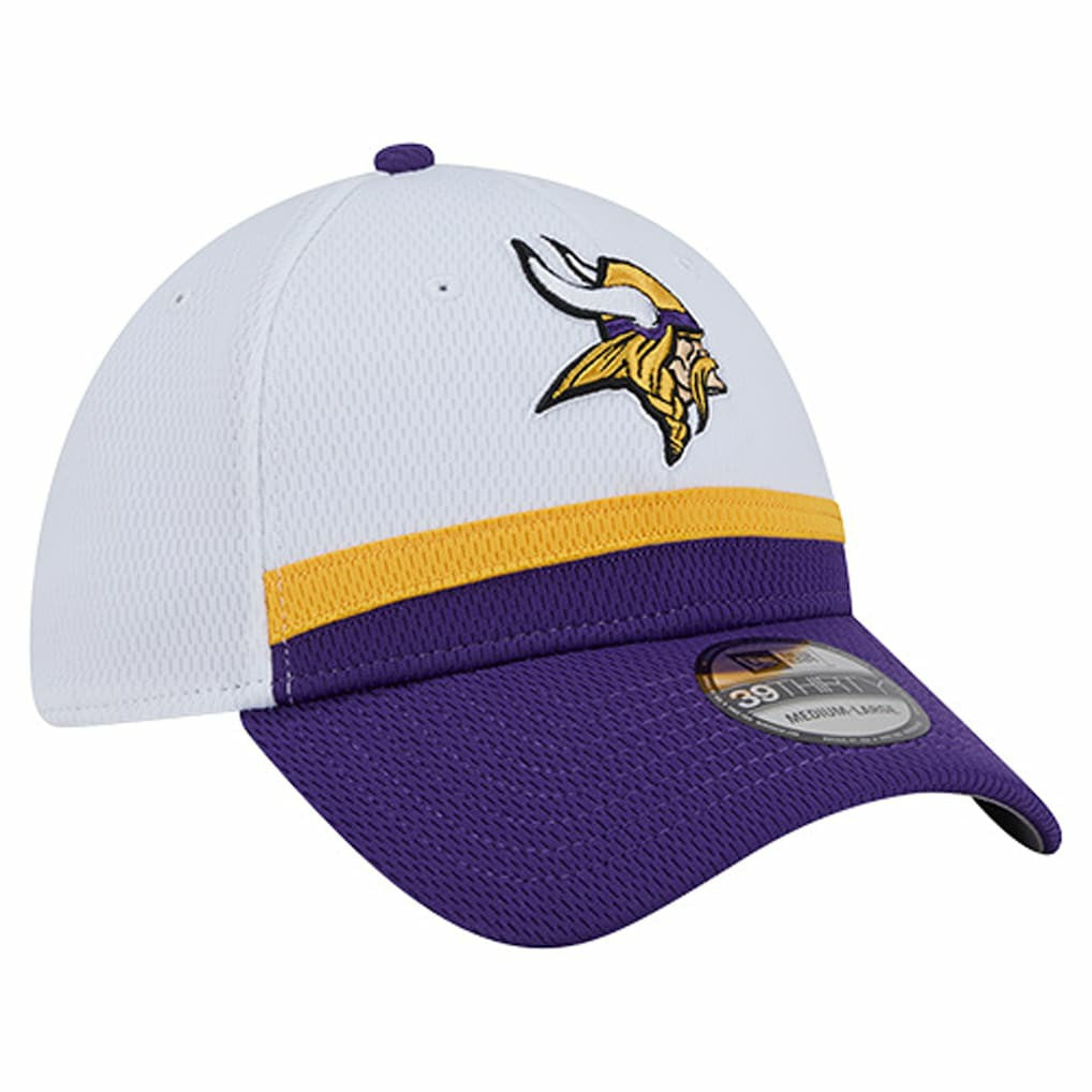 Minnesota Vikings New Era Dashmark Rays 39THIRTY Flex Hat White/Purple | NFL