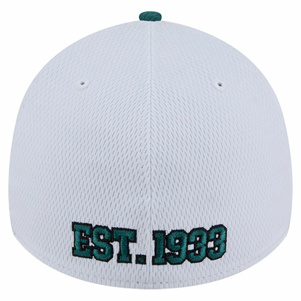 Philadelphia Eagles New Era Dashmark Rays 39THIRTY Flex Hat White/Midnight Green | NFL