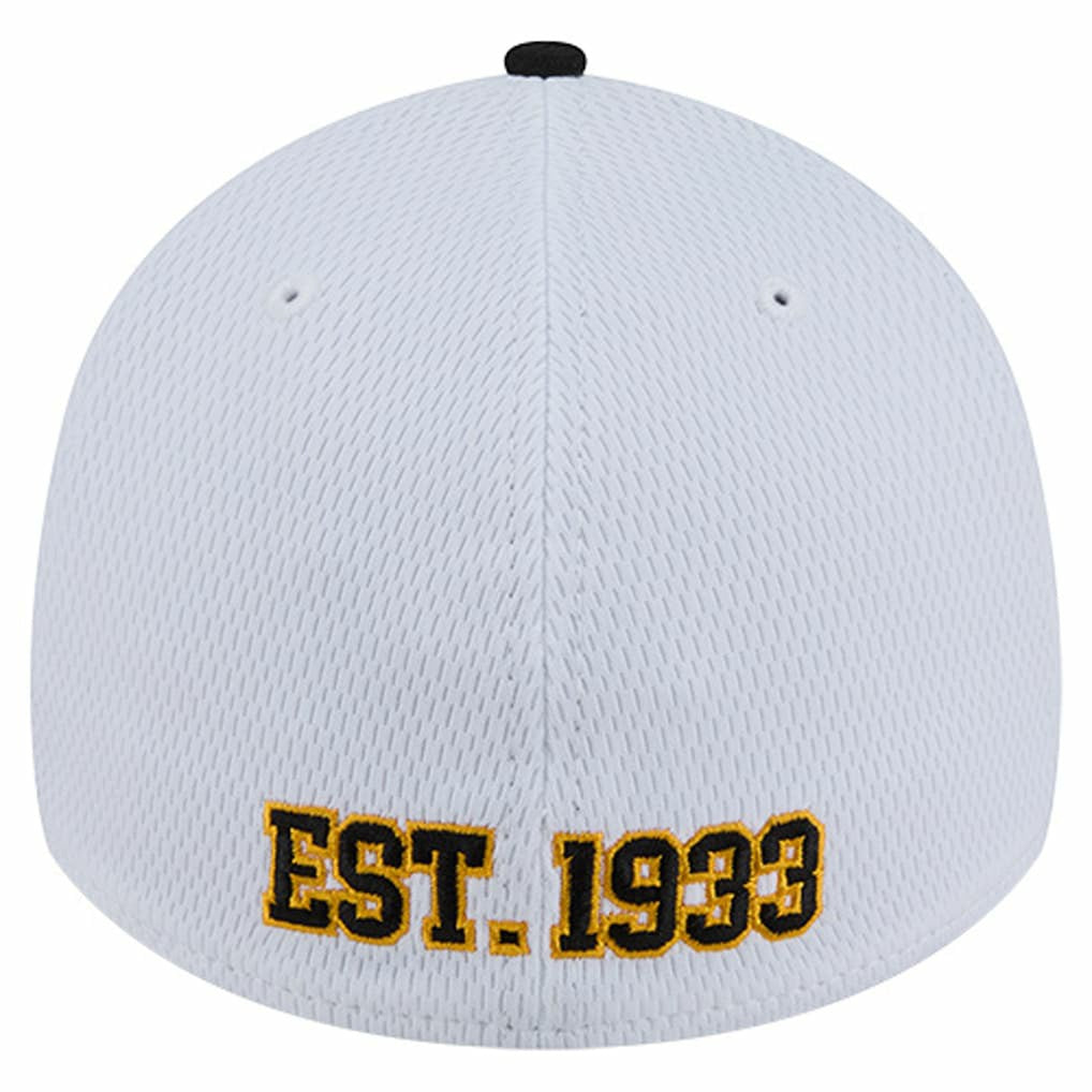 Pittsburgh Steelers New Era Dashmark Rays 39THIRTY Flex Hat White/Black | NFL