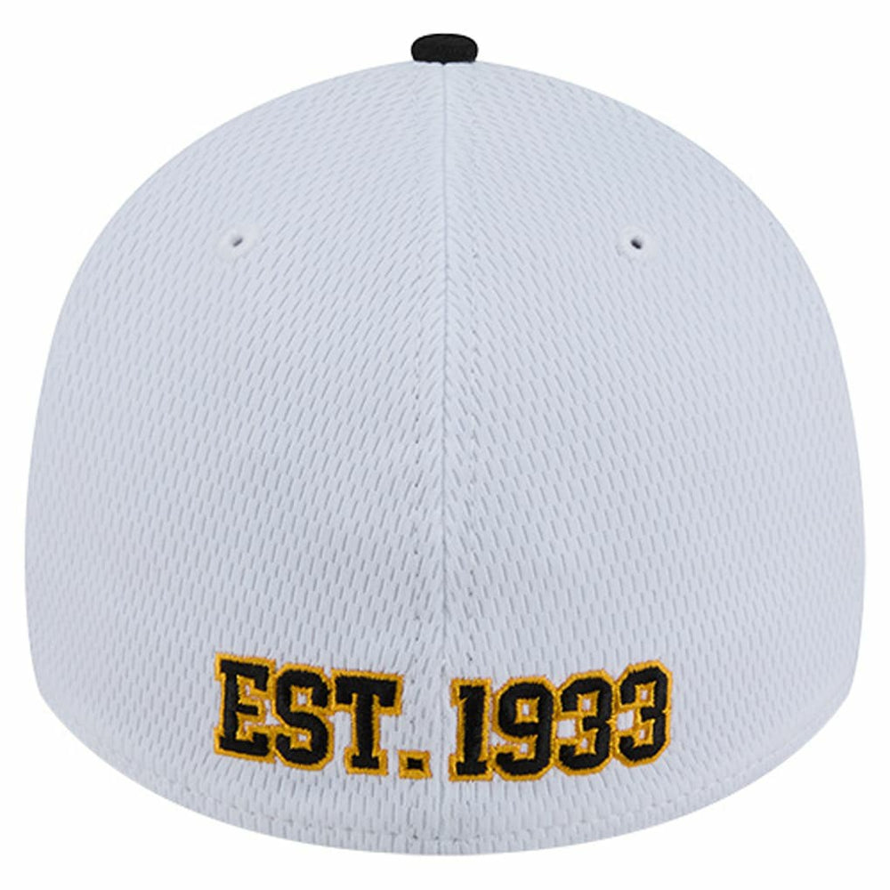 Pittsburgh Steelers New Era Dashmark Rays 39THIRTY Flex Hat White/Black | NFL