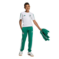 Mexico National Team Youth FIFA x World Cup Alphaskin Pants Green | Adidas cheap