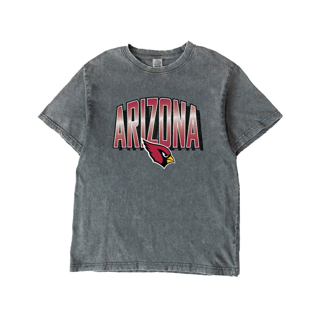 Arizona Cardinals Gameday Couture Women's Peak Performance Oversized Snow Wash T-Shirt Gray | NFL
