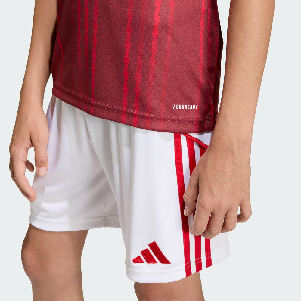 Arsenal Youth 2025/26 Pre-Match Training Jersey Red | Adidas