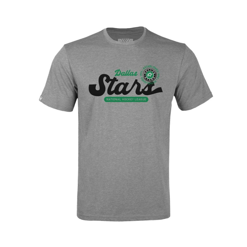 Dallas Stars Levelwear Youth Little Richmond Monument T-Shirt - Gray - NHL