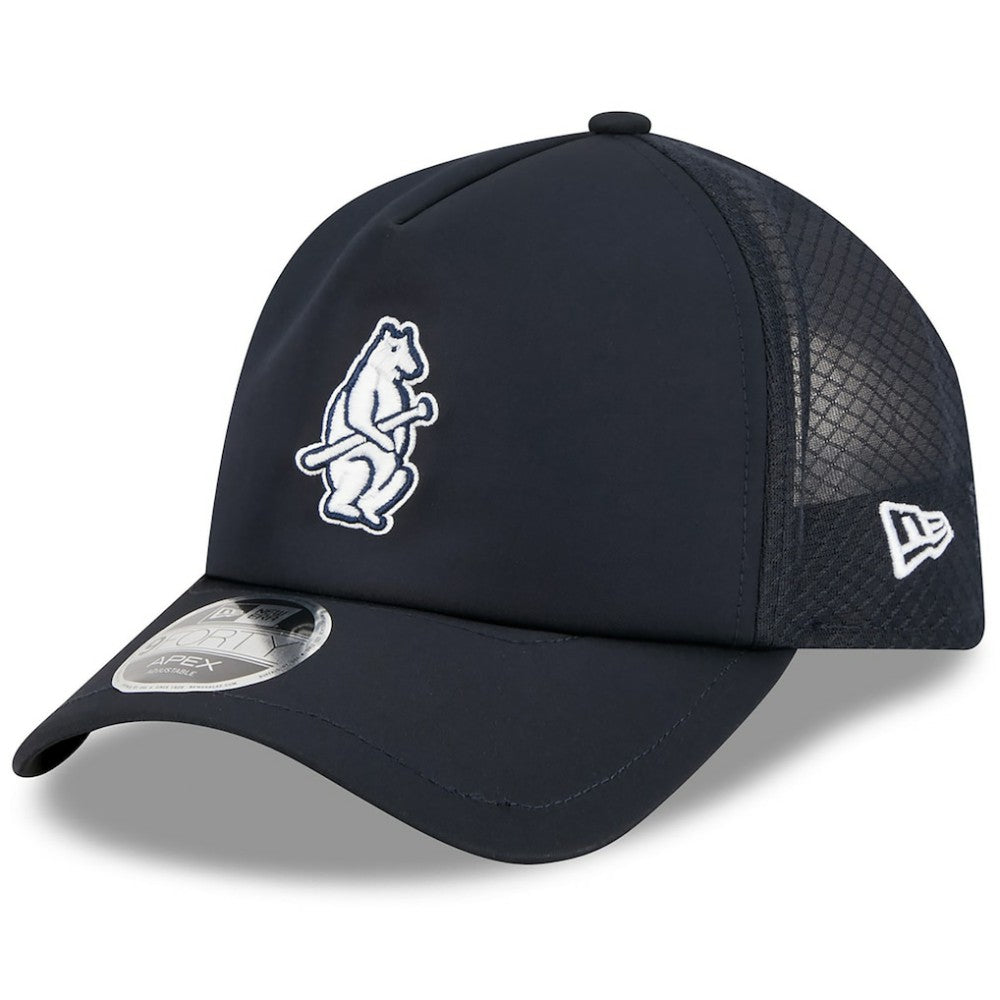 Chicago Cubs New Era 2026 Batting Practice Alternate Apex 9FORTY Adjustable Hat - MLB