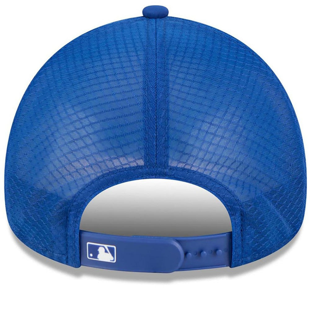Chicago Cubs New Era 2026 Batting Practice Alternate Apex 9FORTY Adjustable Hat - MLB