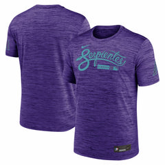 Arizona Diamondbacks Nike Authentic Collection City Connect Velocity Dri-FIT T-Shirt - MLB
