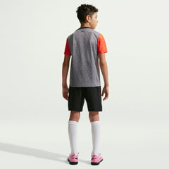 Chelsea Youth 2025/26 Academy Pro Pre-Match Top Gray | Nike cheap