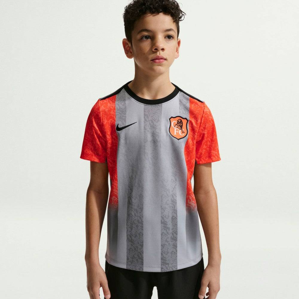 Chelsea Youth 2025/26 Academy Pro Pre-Match Top Gray | Nike cheap