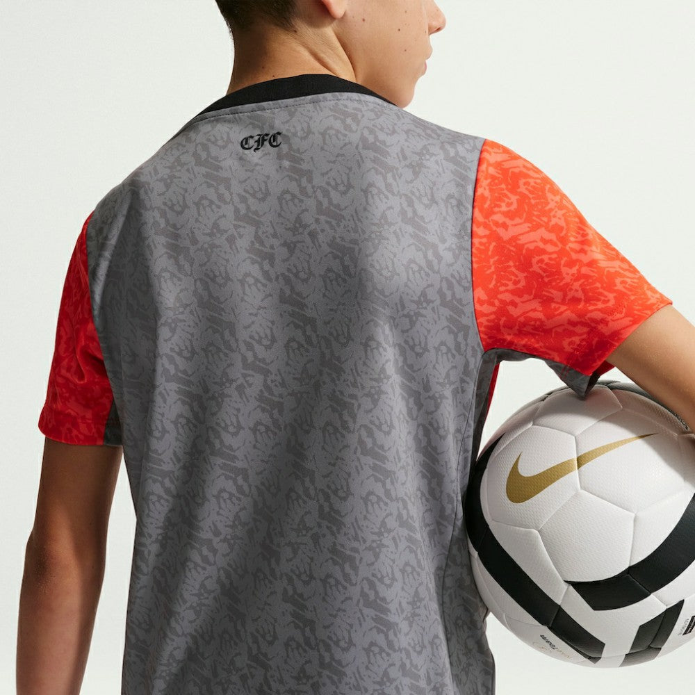 Chelsea Youth 2025/26 Academy Pro Pre-Match Top Gray | Nike cheap