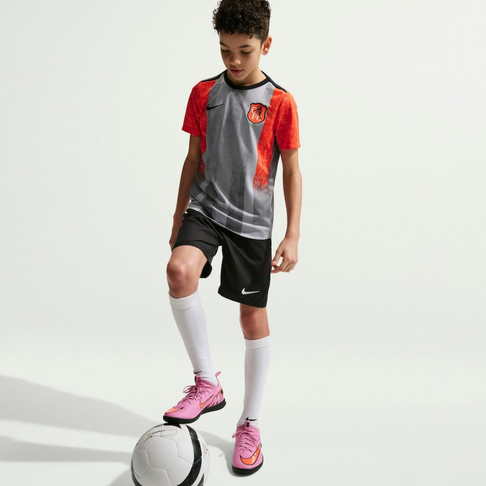 Chelsea Youth 2025/26 Academy Pro Pre-Match Top Gray | Nike cheap