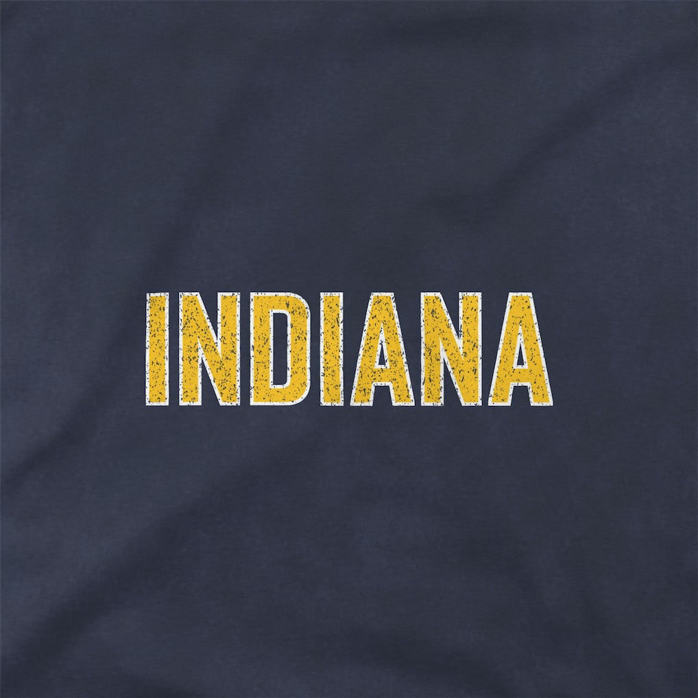 Indiana Pacers Stadium Essentials Unisex Oversized Vintage Wash T-Shirt Denim - NBA