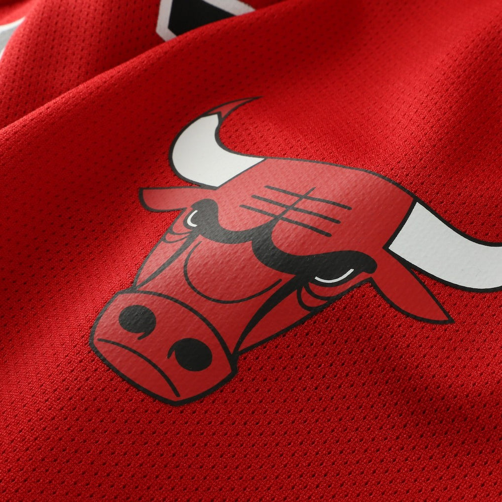 Dennis Rodman Chicago Bulls Big & Tall NBA Hockey Jersey Red - NBA