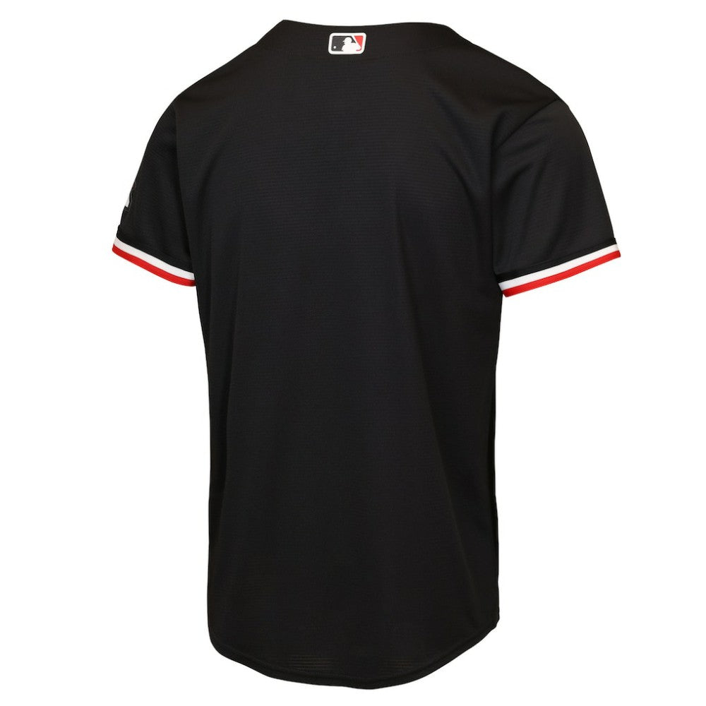 Minnesota Twins Nike Youth Alternate 2 Stadium Jersey - MLB