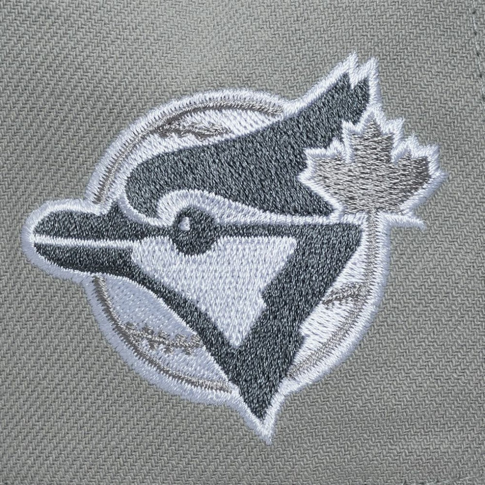 Toronto Blue Jays Mitchell & Ness Cooperstown Thunderstorm Head Coach Pro-Crown Adjustable Hat - MLB