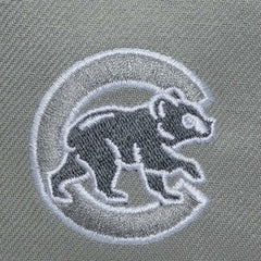 Chicago Cubs Mitchell & Ness Thunderstorm Head Coach Pro-Crown Adjustable Hat - MLB