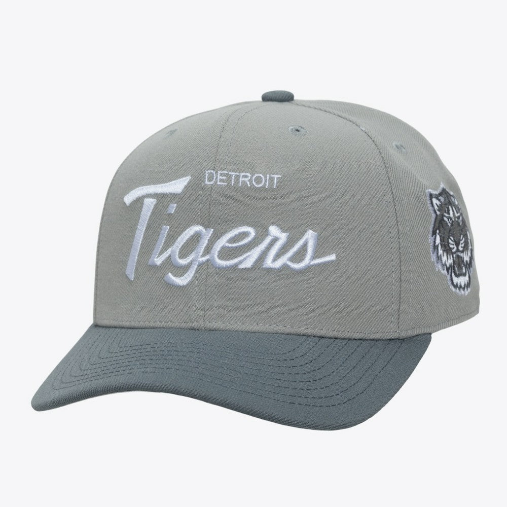 Detroit Tigers Mitchell & Ness Thunderstorm Head Coach Pro-Crown Adjustable Hat - MLB