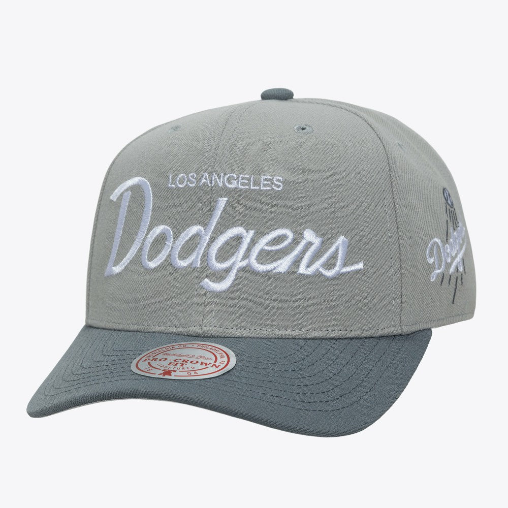 Los Angeles Dodgers Mitchell & Ness Thunderstorm Head Coach Pro-Crown Adjustable Hat - MLB