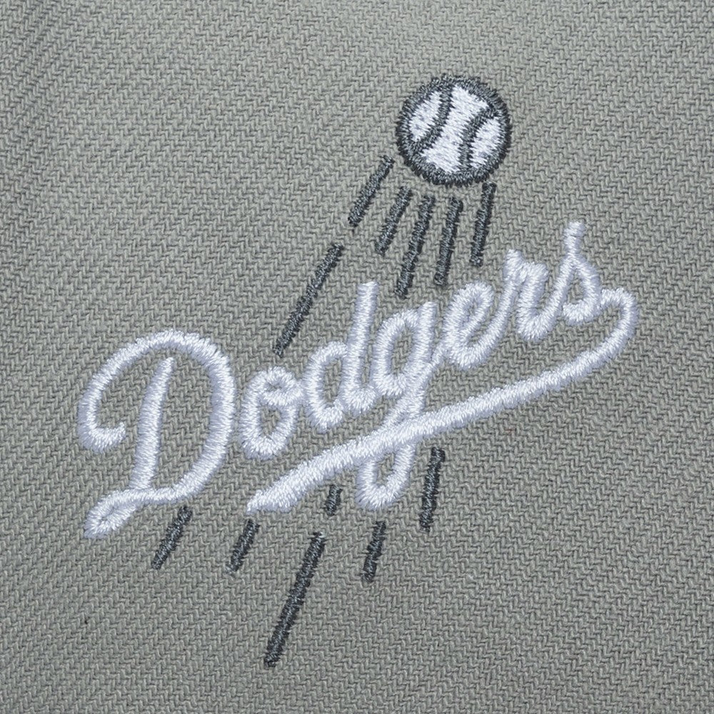 Los Angeles Dodgers Mitchell & Ness Thunderstorm Head Coach Pro-Crown Adjustable Hat - MLB