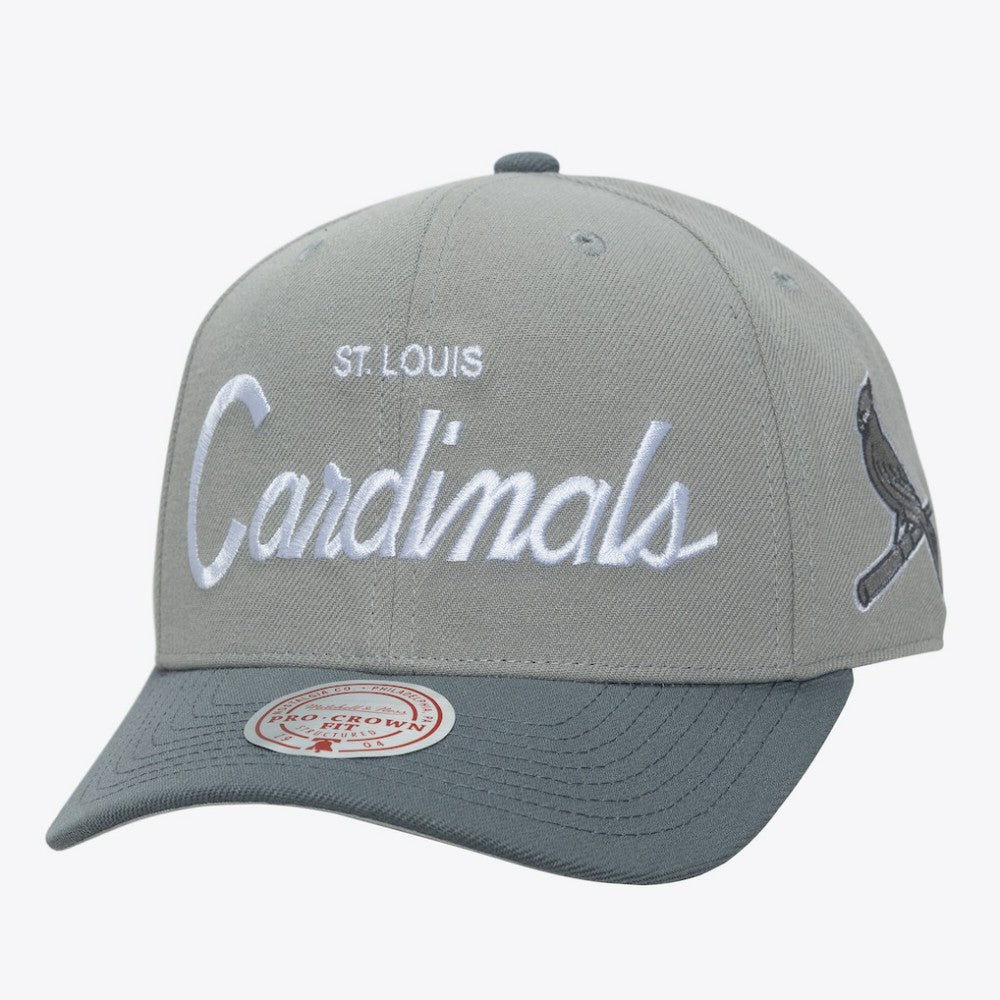 St. Louis Cardinals Mitchell & Ness Thunderstorm Head Coach Pro-Crown Adjustable Hat - MLB