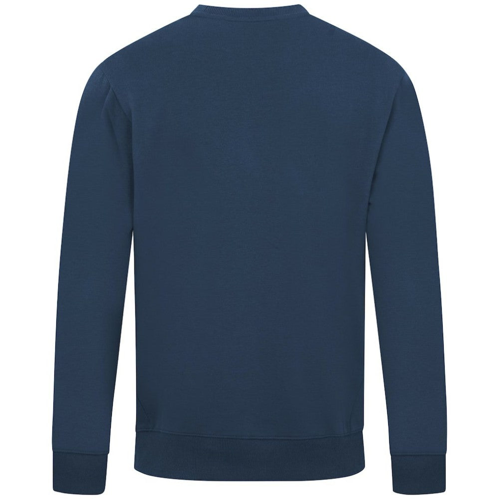 Tampa Bay Rays Levelwear City Connect Zane Back Splash Sweatshirt - MLB