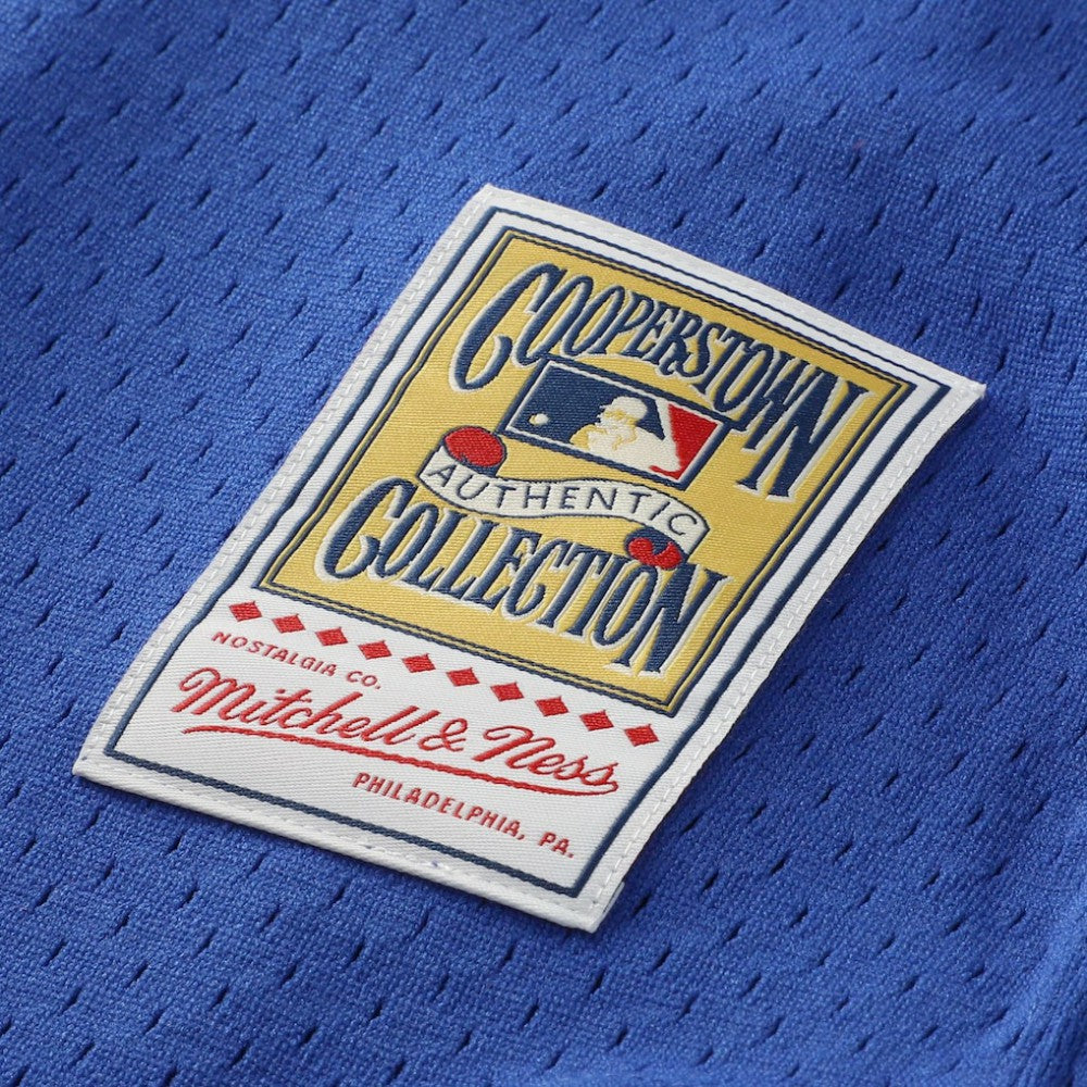 Lenny Dykstra New York Mets Mitchell & Ness Authentic Batting Practice Jersey - MLB
