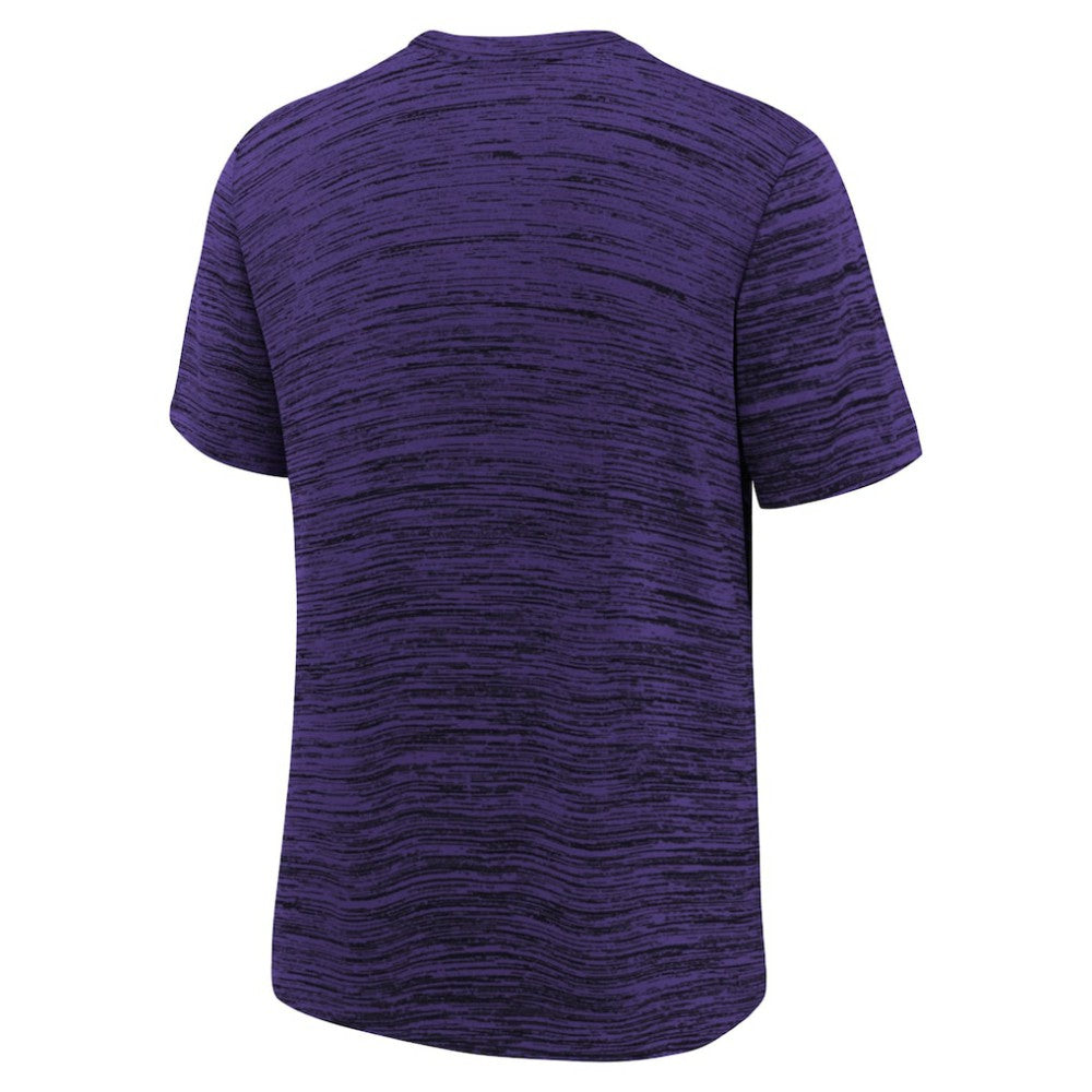 Arizona Diamondbacks Nike Youth Authentic Collection Velocity Dri-FIT T-Shirt - MLB