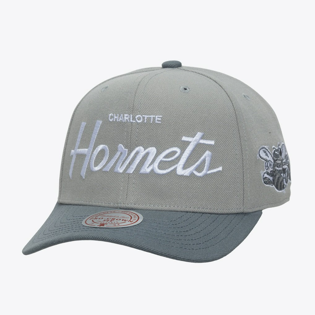 Charlotte Hornets Thunderstorm Head Coach Pro Crown Snapback Hat Gray - NBA