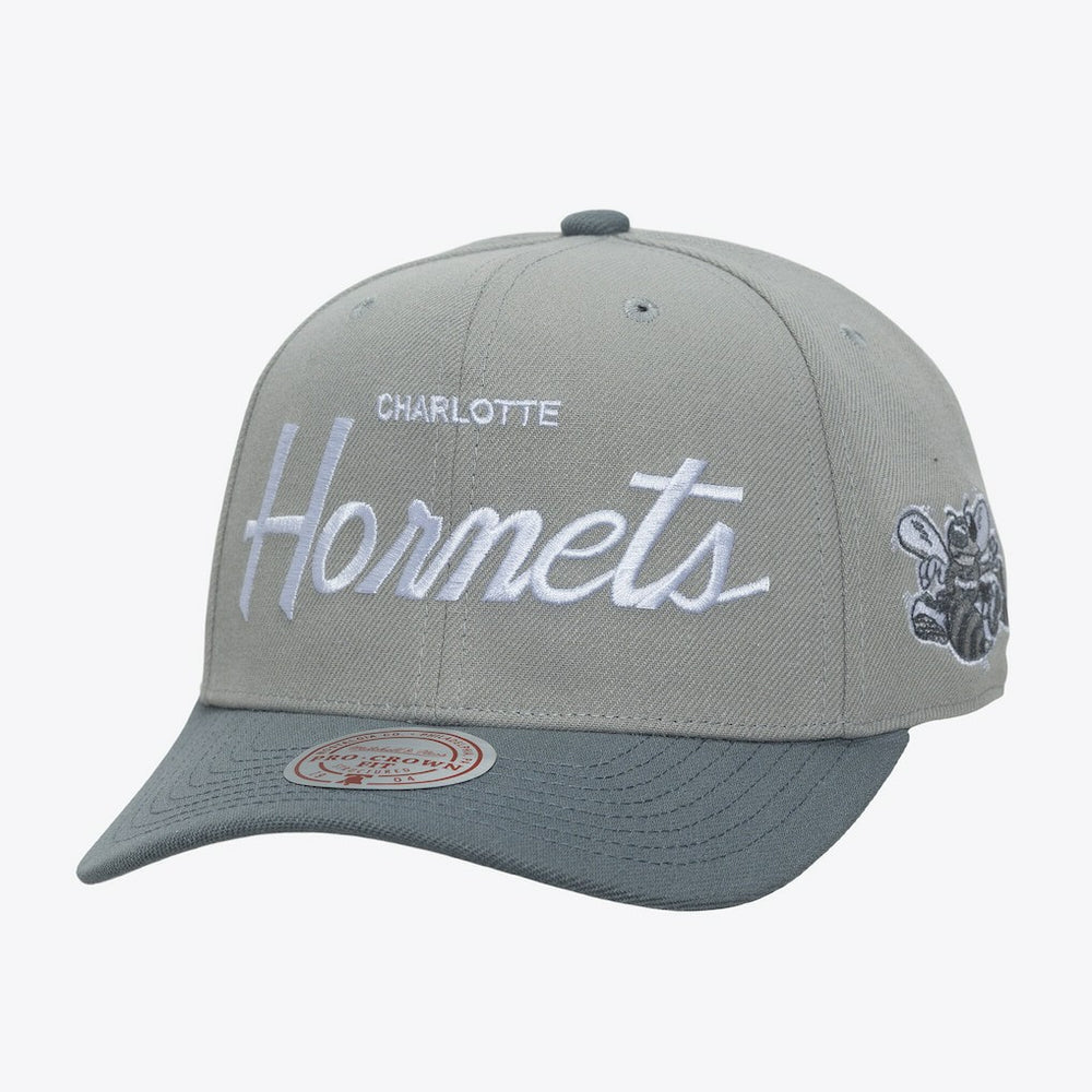 Charlotte Hornets Thunderstorm Head Coach Pro Crown Snapback Hat Gray - NBA