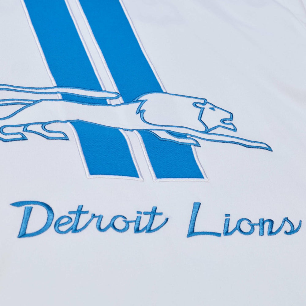 Detroit Lions Arctic T-Shirt White | Mitchell & Ness