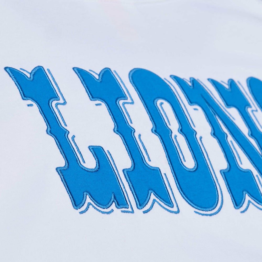 Detroit Lions Arctic T-Shirt White | Mitchell & Ness