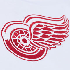 Detroit Red Wings Mitchell & Ness Arctic Fleece Hoodie - White - NHL