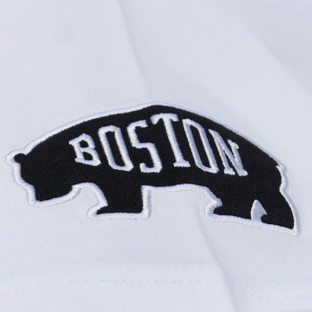 Boston Bruins Mitchell & Ness Arctic T-Shirt- White - NHL