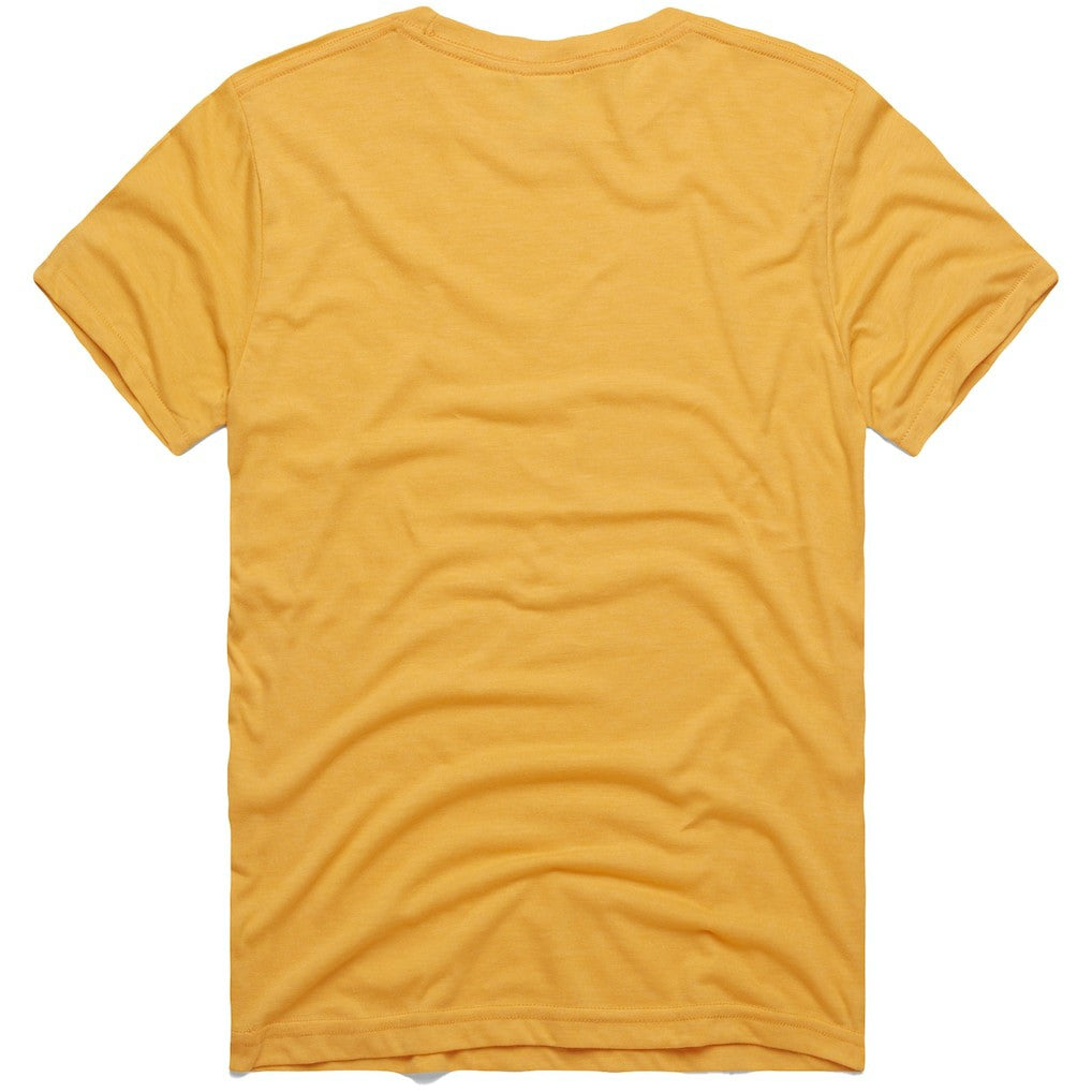 Pittsburgh Steelers Homage NFL x Grateful Dead Tri-Blend T-Shirt Gold | NFL