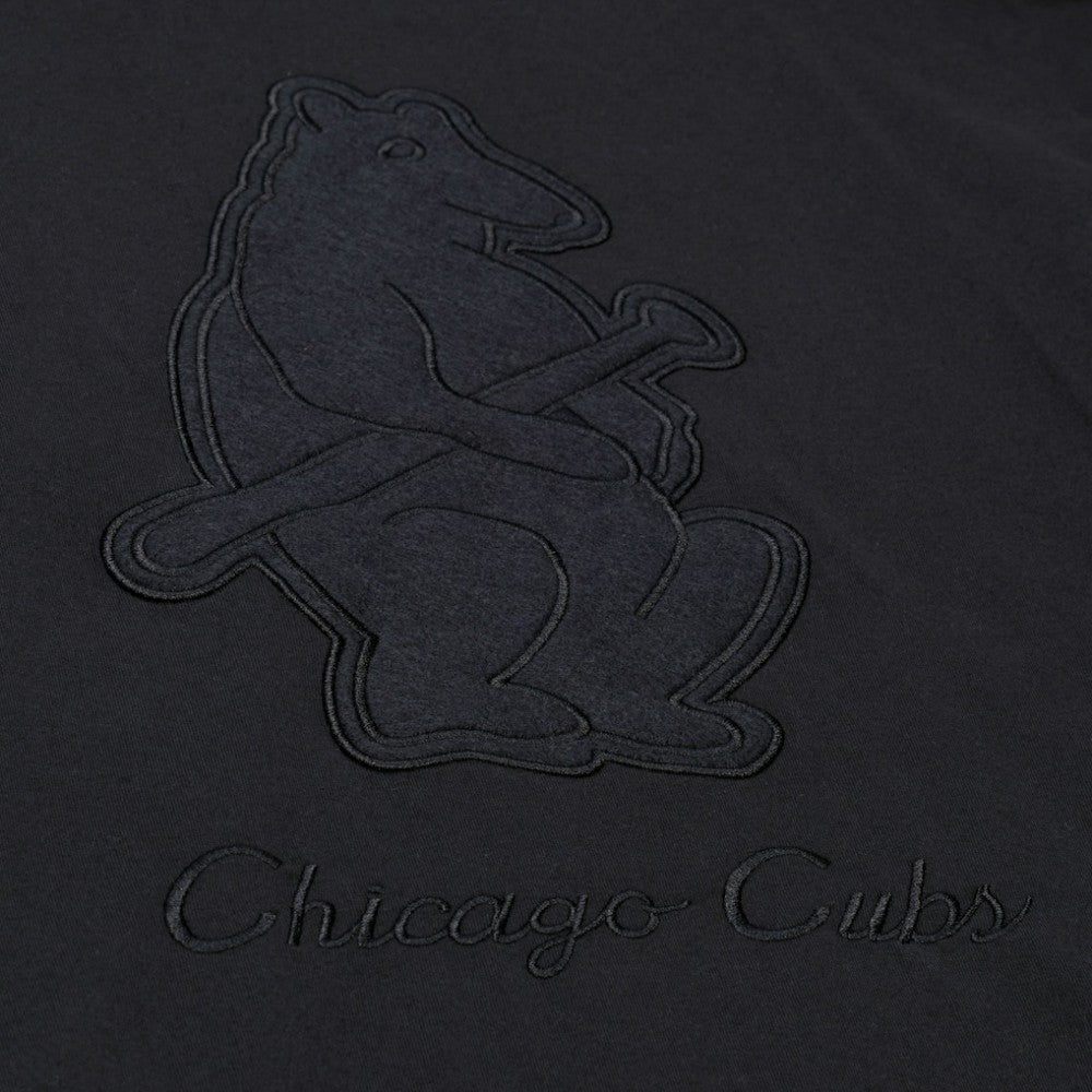 Chicago Cubs Mitchell & Ness Cooperstown Collection Phantom T-Shirt - MLB