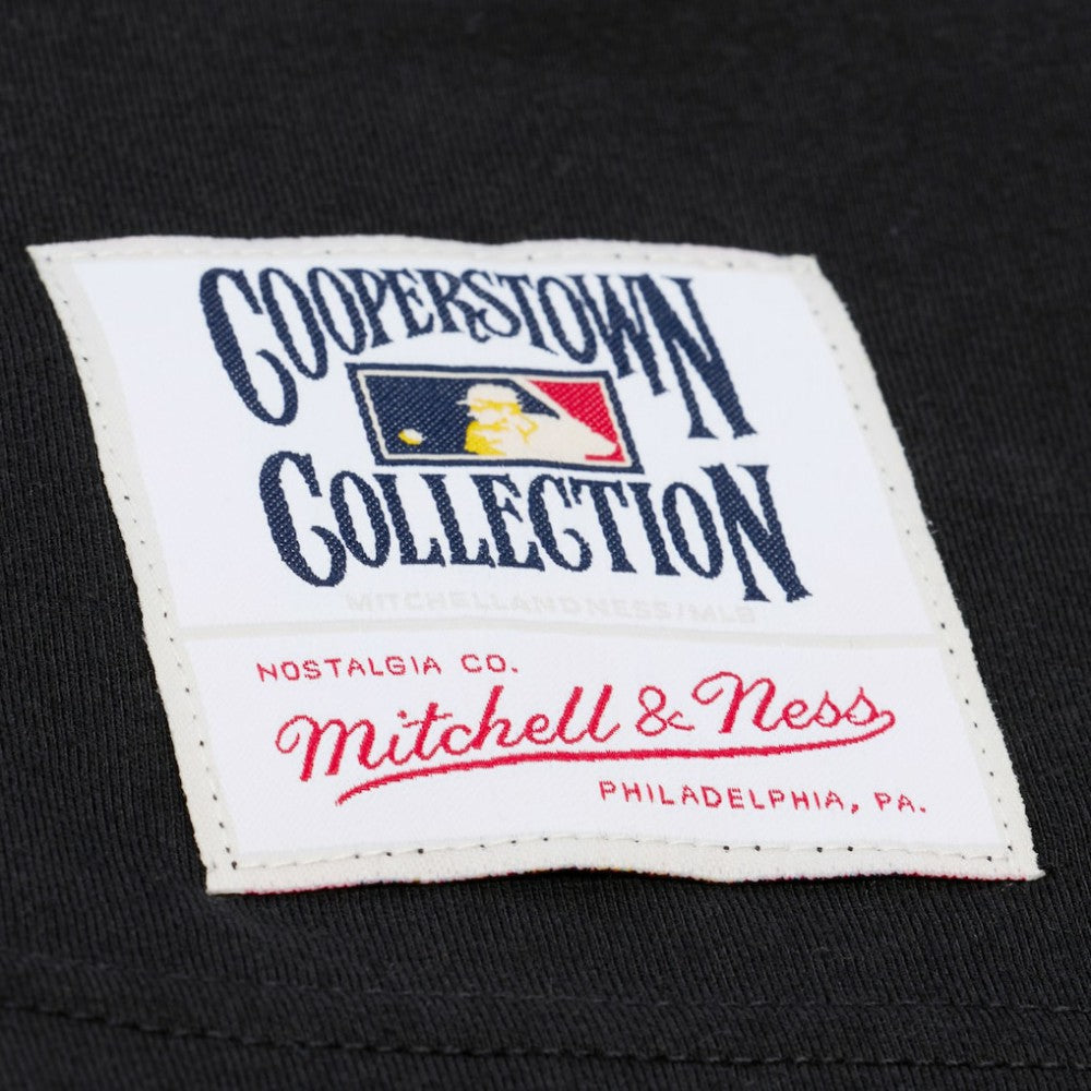 Chicago Cubs Mitchell & Ness Cooperstown Collection Phantom T-Shirt - MLB
