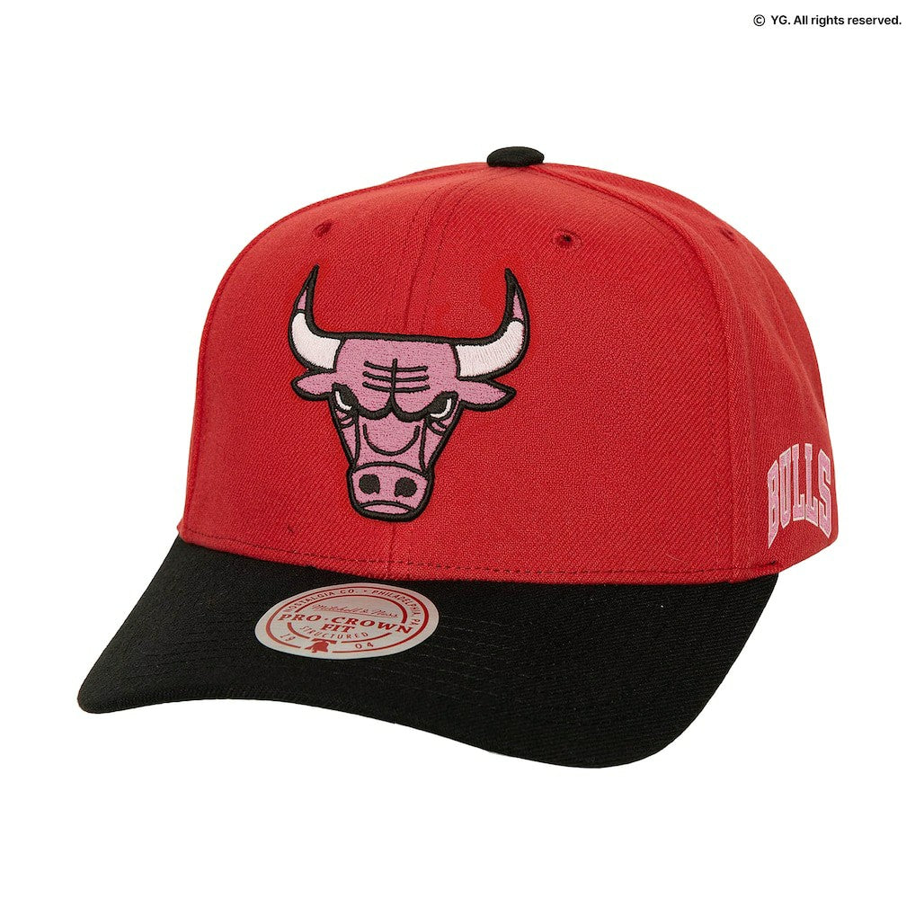 Chicago Bulls x BLACKPINK Pro Crown Snapback Hat Red Limited Edition - NBA