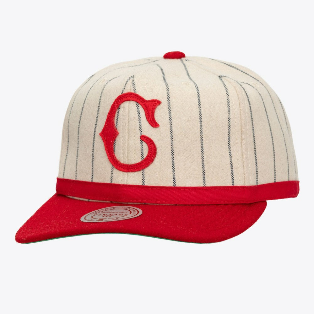 Cincinnati Reds Mitchell & Ness Unisex Vintage Ground Melton Wool Pinstripe Adjustable Hat - MLB