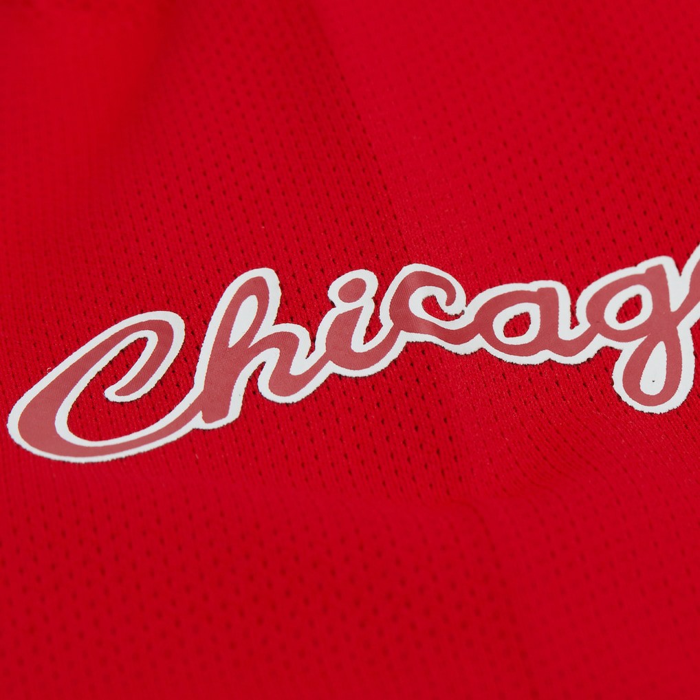 Dennis Rodman Chicago Bulls Unisex Maxxed Out Fashion Hockey Jersey Red - NBA