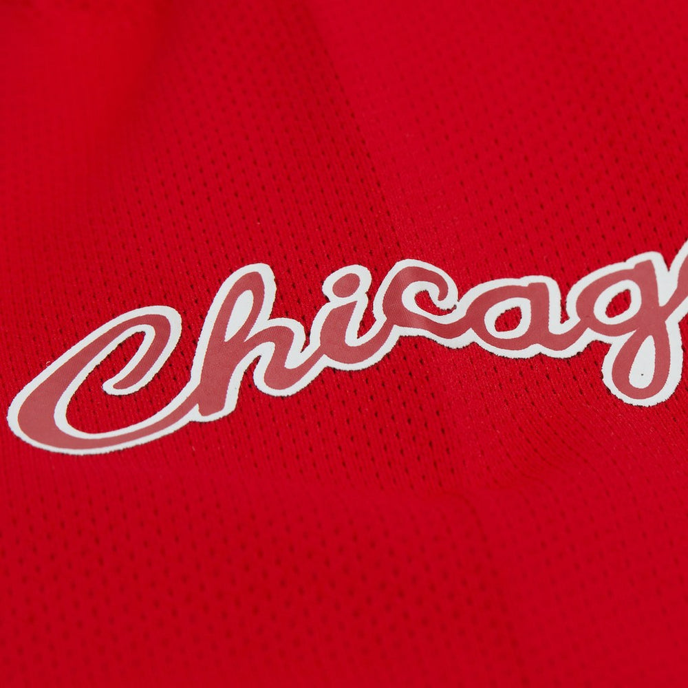 Dennis Rodman Chicago Bulls Unisex Maxxed Out Fashion Hockey Jersey Red - NBA