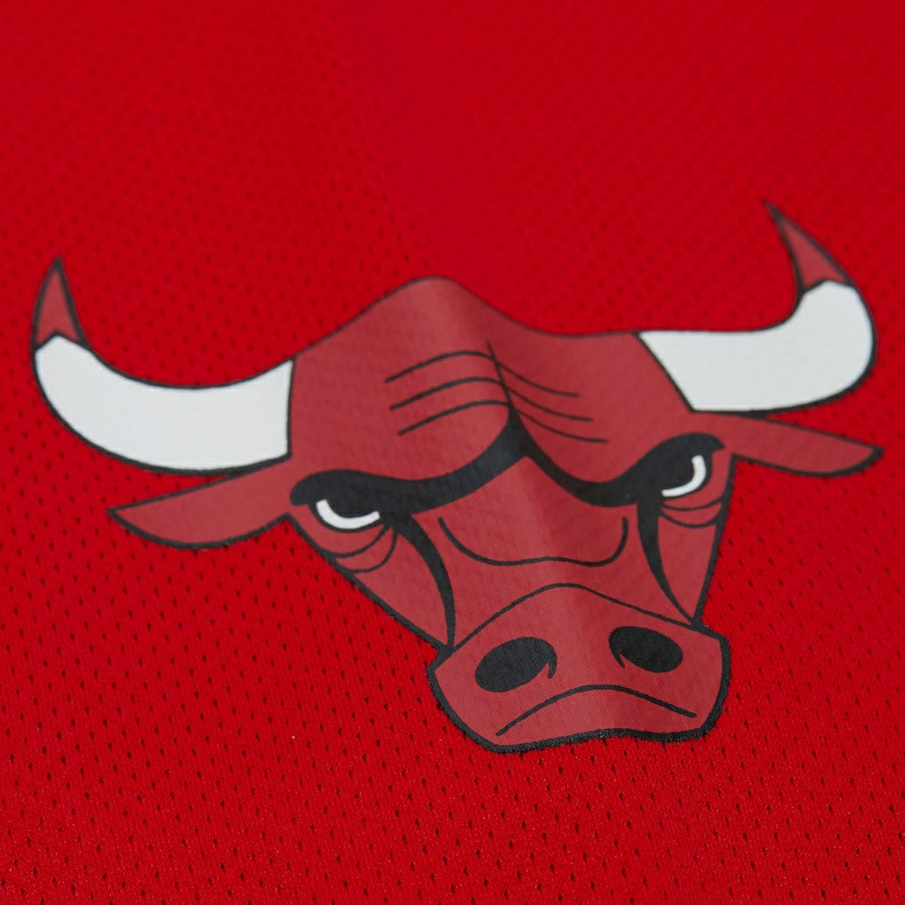 Dennis Rodman Chicago Bulls Unisex Maxxed Out Fashion Hockey Jersey Red - NBA