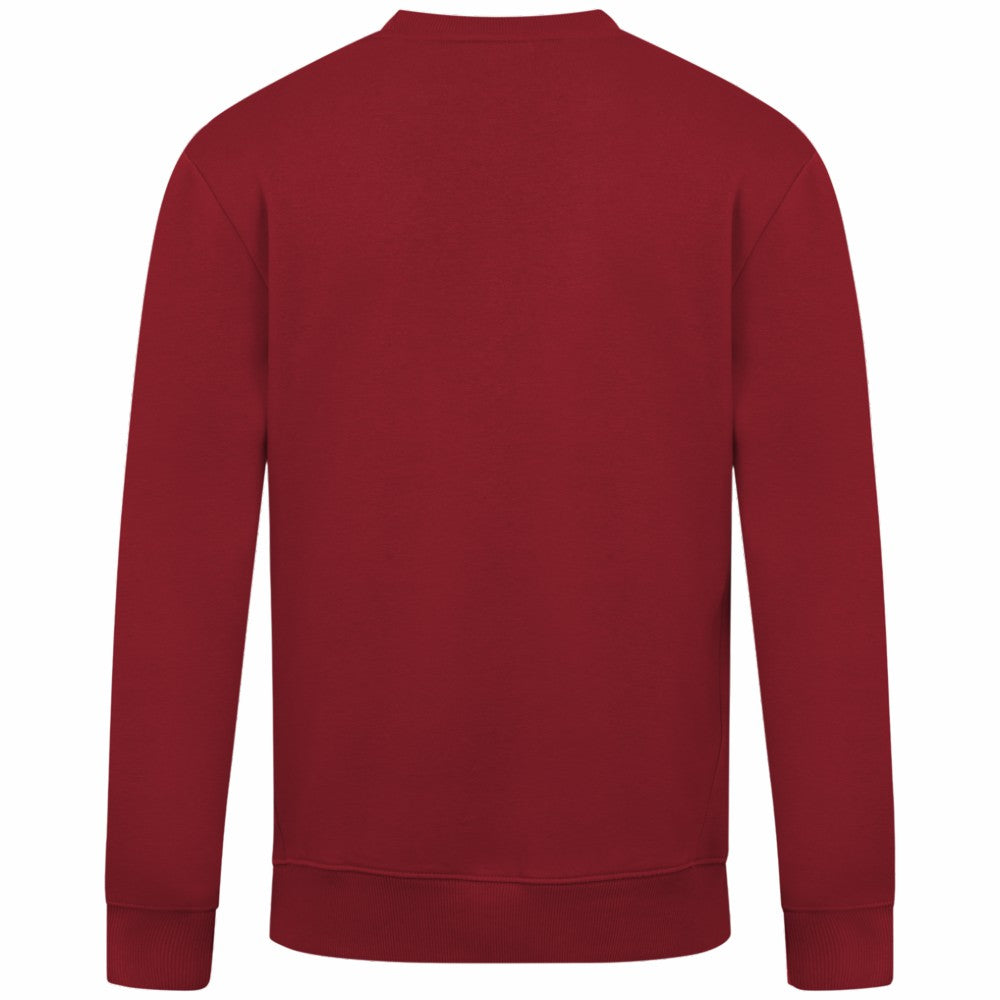 Arizona Diamondbacks Levelwear Zane Banner Arch Sweatshirt - MLB