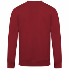 Arizona Diamondbacks Levelwear Zane Banner Arch Sweatshirt - MLB