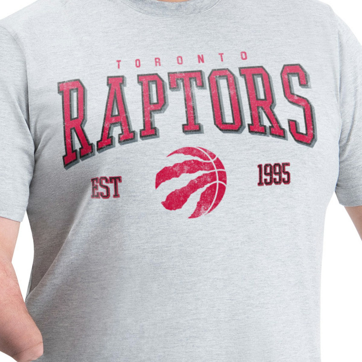Toronto Raptors G-III Sports by Carl Banks Adaptive Classic Team Spirit Short Sleeve T-Shirt Gray - NBA